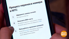 Как сменить мобильного оператора. Доброе утро. Фрагмент