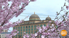 С днем рождения, Магас, город солнца! Доброе утро. Фрагмент