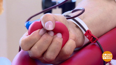 Стать донором — спасти чью-то жизнь! Доброе утро. Суббота. Фрагмент