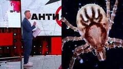 АнтиФейк. Выпуск от 24.04.2025