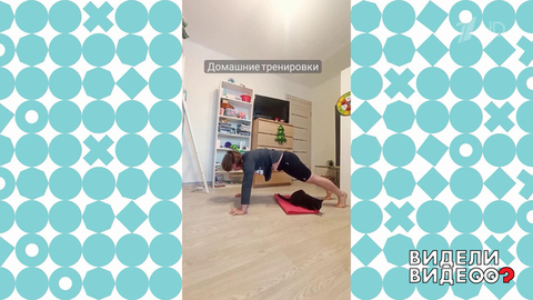 Кот Кузьмитрий. Видели видео? Фрагмент