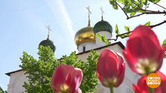 Радоница: у Бога все живы. Доброе утро. Фрагмент