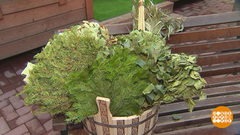 Веник, просыпайся! Идем в баню! Доброе утро. Фрагмент