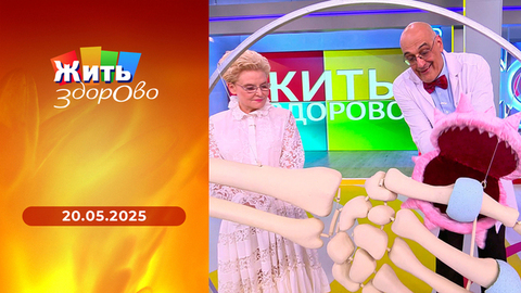 Домашние тесты для мозга; оливки; новое в лечении ревматоидного артрита; робот-пылесос. Жить здорово!