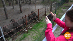 Экотуризм: национальные парки приглашают. Доброе утро. Фрагмент