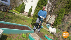 Работаем на грядках, бережем спину! Доброе утро. Фрагмент