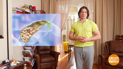 Камням не место в желчном пузыре… Доброе утро. Фрагмент