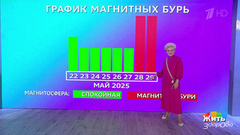 Магнитная буря. Кто кого? Жить здорово! Фрагмент