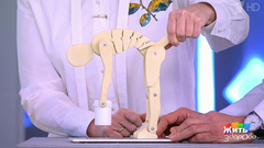 Дело в спине. Жить здорово! Фрагмент