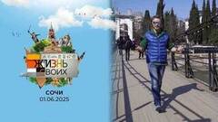 Сочи. Жизнь своих