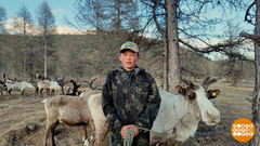 Вот оно какое, наше лето. Доброе утро. Фрагмент