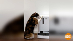 Выбираем автопоилку и автокормушку. Доброе утро. Фрагмент выпуска от 01.06.2025. Фрагмент