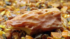 Янтарный самородок по имени «Победа». Доброе утро. Фрагмент