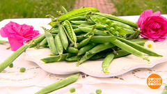 Горошек: молодо-зелено... и полезно! Доброе утро. Фрагмент