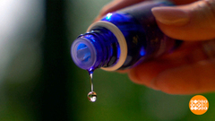 Лаванда против комаров. Доброе утро. Суббота. Фрагмент