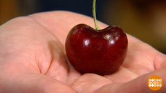 Нитраты всюду есть. Так есть или не есть? Доброе утро. Фрагмент