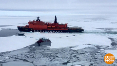 Вот ты какая, наша Арктика! Доброе утро. Фрагмент