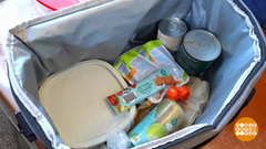 Мы едем, едем, едем! А что в пути едим? Доброе утро. Фрагмент