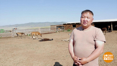 Кумыс: чистое здоровье! Доброе утро. Фрагмент