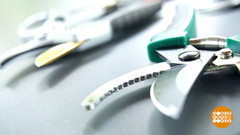 Секатор, Ваше Сиятельство! Доброе утро. Суббота. Фрагмент