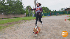 А уж как бежит Корица! Доброе утро. Суббота. Фрагмент