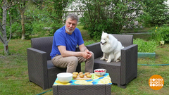 Овощи и фрукты, пожалуйте мыться! Доброе утро. Фрагмент