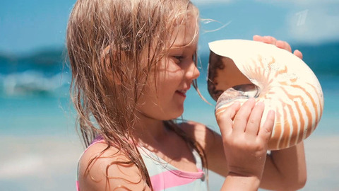 «Целый день поет прибой».Что? Где? Когда? Анонс