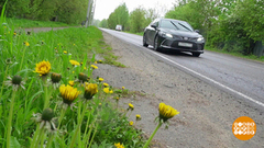 Автопутешествие — без вреда для здоровья. Доброе утро. Фрагмент