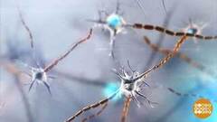 Нервные клетки... восстанавливаются! Доброе утро. Фрагмент