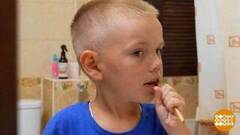 Мороженое и ягоды — без вреда для зубов. Доброе утро. Фрагмент