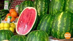 Арбузы и дыни: наши — слаще всех! Доброе утро. Фрагмент
