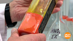 Пальмовое масло: это точно не вредно? Доброе утро. Фрагмент