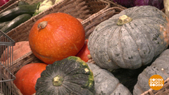 Тыква, покажи хвостик! Доброе утро. Фрагмент