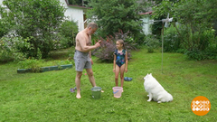 Лето: ешь, гуляй, закаляйся! Доброе утро. Фрагмент