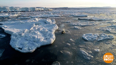 Архипелаг Северная Земля: кто за главного? Доброе утро. Фрагмент