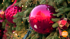 Туры на Новый год: чем раньше, тем выгоднее! Доброе утро. Фрагмент