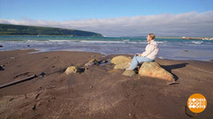 Живем на острове, ждем у моря погоды. Доброе утро. Фрагмент