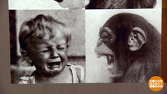 Страшно? Смешно? Или страшно смешно? Доброе утро. Фрагмент