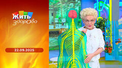 Коронавирус «Стратус»; баклажан; болезнь Меньера; укус собаки. Жить здорово!