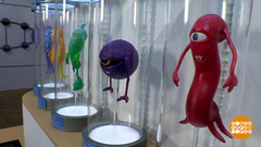 Микробиом человека: кто живет у нас внутри? Доброе утро. Фрагмент