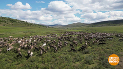 Якутия, которую вы не знаете. Доброе утро. Суббота. Фрагмент