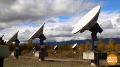 В Сибирь – за солнцем! Доброе утро. Фрагмент