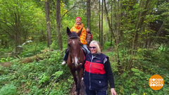 Золотая осень зовет в дорогу! Доброе утро. Суббота. Фрагмент