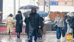 Выбираем идеальный зонтик. Доброе утро. Фрагмент