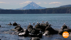 Петропавловск-Камчатский, я тебя люблю! Доброе утро. Фрагмент