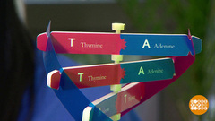 О чем расскажут гены. Доброе утро. Суббота. Фрагмент