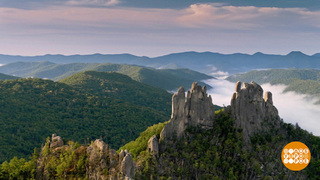 Приморский край удивляет и вдохновляет! Доброе утро. Фрагмент