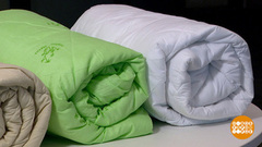 Выбираем одеяло, которое согреет. Доброе утро. Фрагмент