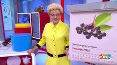 Черноплодка — ешьте сейчас. Жить здорово! Фрагмент