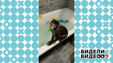 Потоп в ванной. Видели видео? Фрагмент